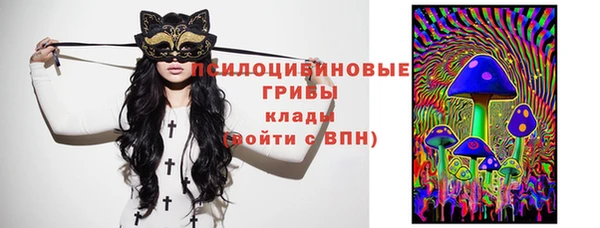 эйфоретик Аркадак
