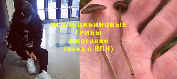 PSILOCYBIN Арсеньев