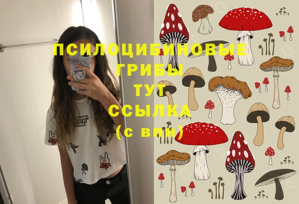 СК Армянск