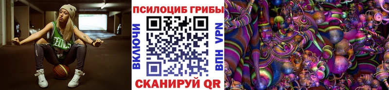 мега зеркало  Старая Русса  Галлюциногенные грибы Cubensis 